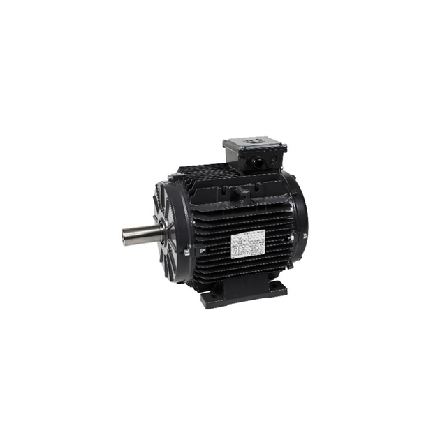 PMSM Motor
