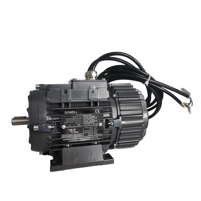 Best Custom 230VAC Single Phase EC Motor for Efficiency