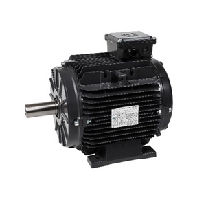 CE Approved High Power 72v 96v Pmsm Motor
