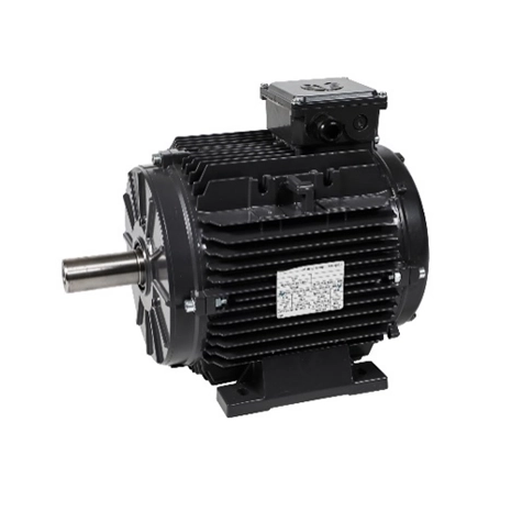 CE Approved High Power 72v 96v Pmsm Motor